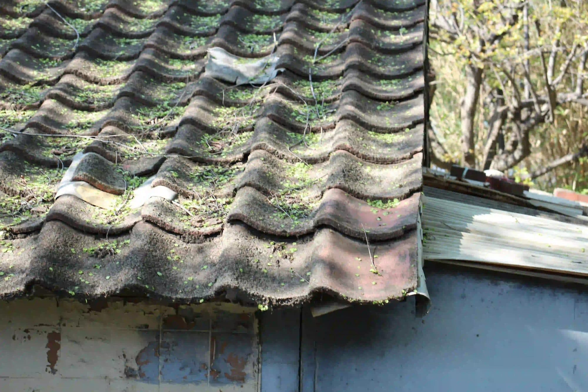 Sign You Need a New Roof